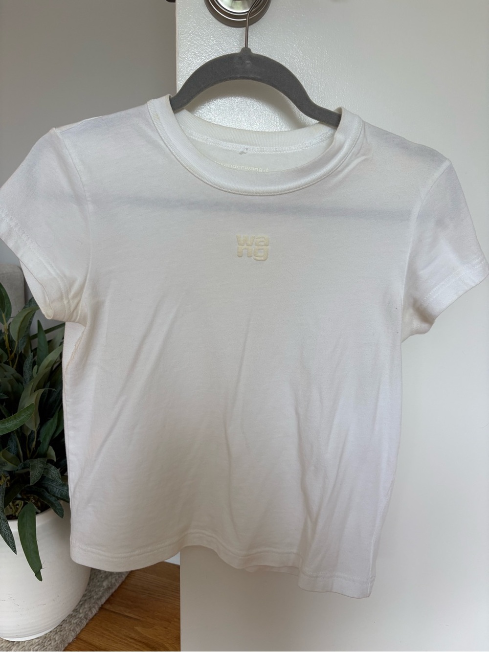 Alexander Wang Tshirt